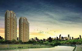 國際社區 國際社區