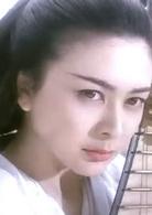 新仙鶴神針[1993年梁朝偉主演電影]