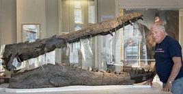 科萬上龍 科萬上龍