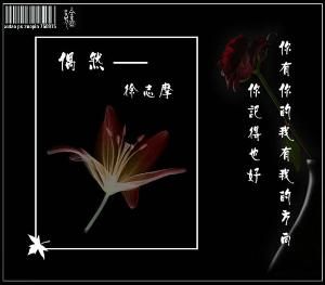 偶然音樂 偶然音樂