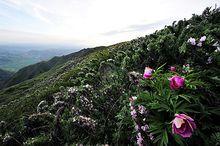 六盤山國家級自然保護區