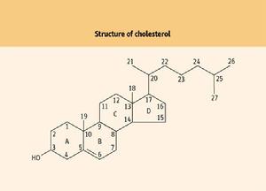 膽囊膽固醇沉著症