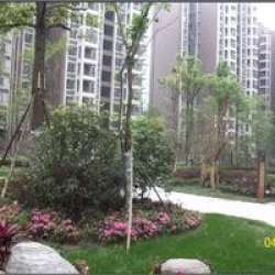 恩威玲瓏南域 恩威玲瓏南域