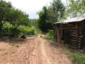 五里堆自然村 五里堆自然村