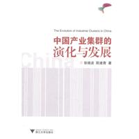 中國產業集群的演化與發展 中國產業集群的演化與發展