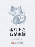 遊戲王之我是鬼柳 遊戲王之我是鬼柳