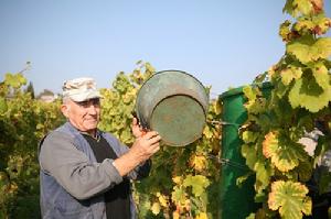 厄斯特·奧克維爾克 厄斯特·奧克維爾克