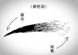 掃把眉 掃把眉