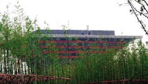 綠樹掩映中的中國館
