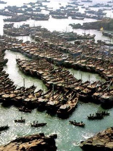 舟山漁場 舟山漁場