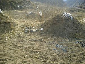 北方清明掃墓實拍