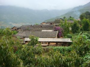 廟新寨村 廟新寨村