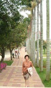 林娟娟[廈門大學外文學院日語系教授]