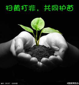 護苗2015 護苗2015