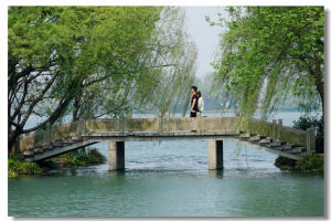 楊堤景行 楊堤景行