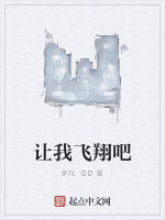 讓我飛翔吧 讓我飛翔吧
