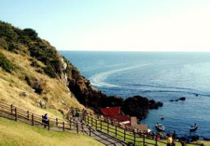 觀光大使濟州島旅遊觀光大使：台灣偶像團體LOLLIPOP F（棒棒堂）友好地區中國海南省（1995年10月6日）美國夏威夷州（1986年11月25日）印度尼西亞巴厘州（1989年6月1日）俄羅斯薩哈林州（1992年1月17日）著名人物高斗心（1951.05.22-）韓國濟州島人，韓國女演員，代表作《澡堂老闆家的男人們》《媽媽姐姐》《比花還美》。姜智賢（1992.02.12-），藝名昭宥，韓國濟州島人，韓國歌手，女子演唱組合SISTAR成員。金振煥（1994.02.07-）韓國濟州島人，韓國男子組合iKON成員。夫勝寬（1998.01.16-）韓國濟州島人，韓國男子組合seventeen成員。李東赫（楷燦）（2000.06.06-）韓國濟州島人，韓國男子組合NCT 127成員。