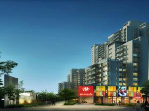 紹興昌隆首座 紹興昌隆首座