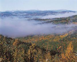 高緯度永凍土 高緯度永凍土