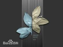 波茲南設計學院