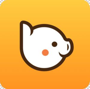 斑豬社區 斑豬社區