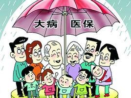 國務院辦公廳關於全面實施城鄉居民大病保險的意見 國務院辦公廳關於全面實施城鄉居民大病保險的意見
