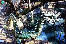 青龍潭[雲南省昆明市盤龍滇源鎮白邑村青龍潭]