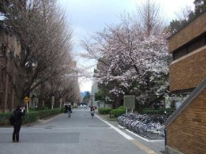 大阪大學環境優美