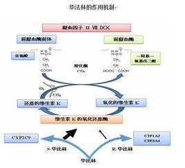 法的作用 法的作用