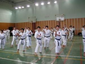 世界空手道協會聯盟