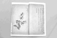 《履巉岩本草》