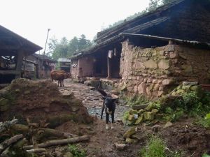 老施田自然村 老施田自然村