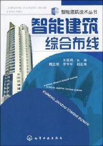 智慧型建築綜合布線 智慧型建築綜合布線