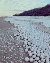俄羅斯海岸現神秘雪球堆