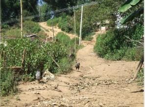 翁布勒自然村 翁布勒自然村