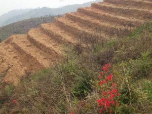 石株橋鄉 石株橋鄉