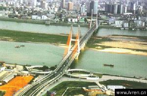 新八一大橋 新八一大橋