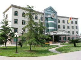 四川宏達股份有限公司 四川宏達股份有限公司