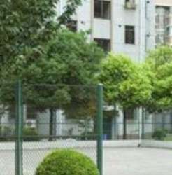 五峰集團 五峰集團