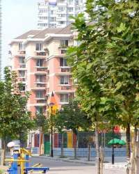 近江四園 近江四園