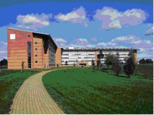 德國弗倫斯堡大學 德國弗倫斯堡大學