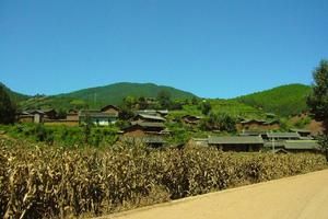 新民二組村 新民二組村