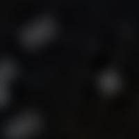 HR 1736 RASS 彩色圖