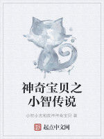 神奇寶貝之小智傳說 神奇寶貝之小智傳說