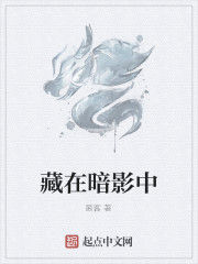 藏在暗影中 藏在暗影中