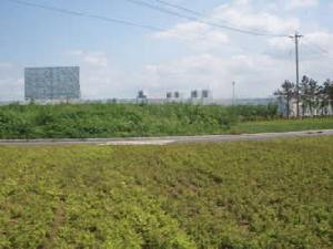 吉寶季景沁園一期 吉寶季景沁園一期