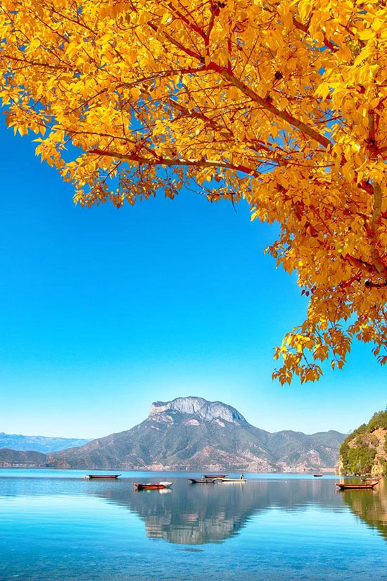 這是我見過最浪漫的旅行了!想找個人一起來完成