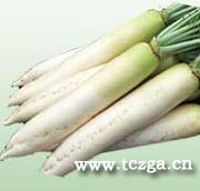 根野飄香五行蔬菜湯