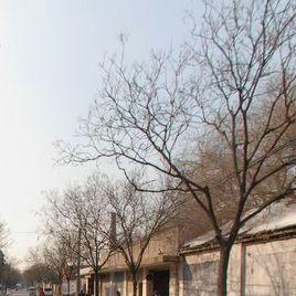 合肥金誠職業學校 合肥金誠職業學校