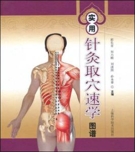 實用針灸取穴速學圖譜 實用針灸取穴速學圖譜